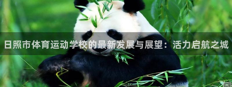 yy易游官网下载平台注册要钱吗安全吗:日照市体育运动学校的最