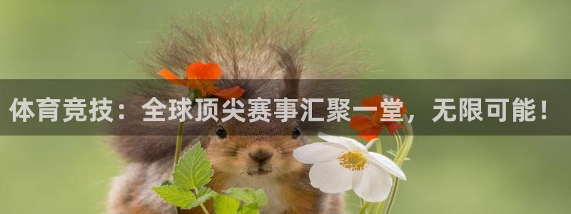yy易游官方集团官网:体育竞技:全球顶尖赛事汇聚一堂,无限可