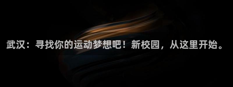 yy易游官方正版app娱乐代理怎么样:武汉:寻找你的运动梦想